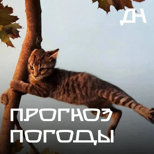 Прогноз погоды!