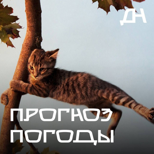 Внимание! Усиление ветра!